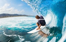 利记官网-女篮亚洲杯12人名单即将确定 两战澳洲成重要参考