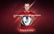 利记官网-快船稳扎稳打力克尼克斯 西部排名持续攀升显峥嵘