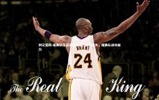 利记官网-瑞典队伍获得好成绩，实力强大，瑞典队进攻能力