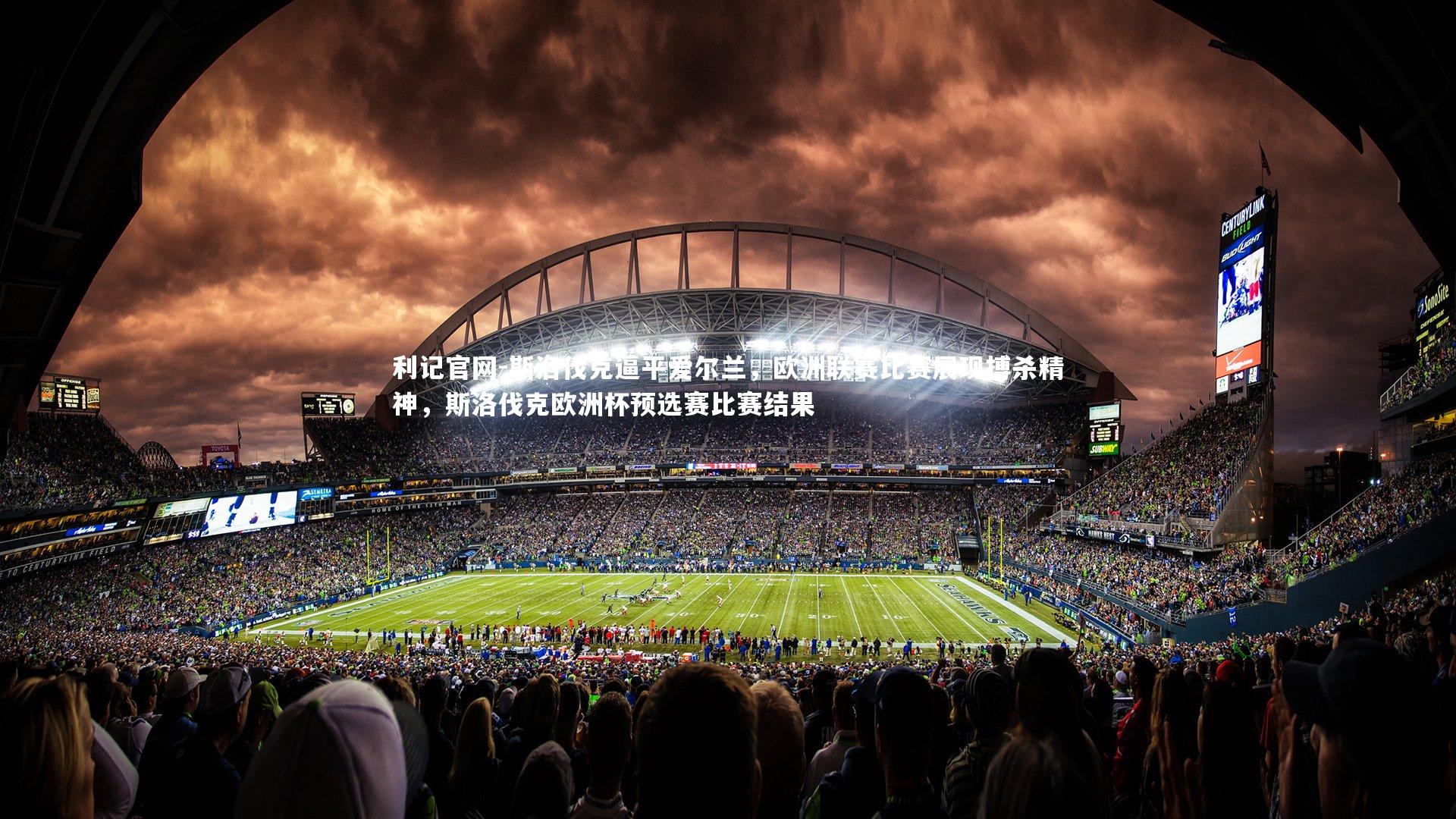 斯洛伐克逼平爱尔兰，欧洲联赛比赛展现搏杀精神，斯洛伐克欧洲杯预选赛比赛结果